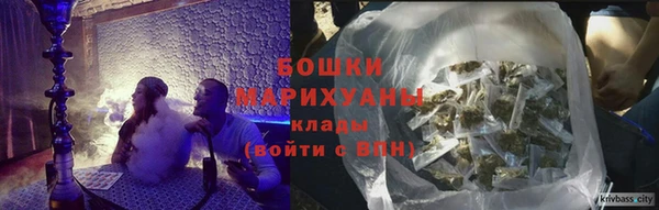 дживик Нягань