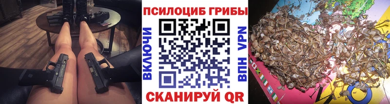 Псилоцибиновые грибы Psilocybine cubensis  Ленск 