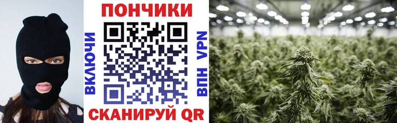 Бошки Шишки ГИДРОПОН  это формула  Ленск 